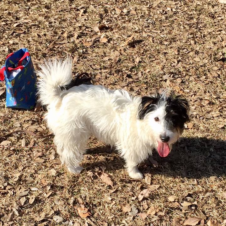 A11c92b3 2ac5 47da 8b9a db624196ec44