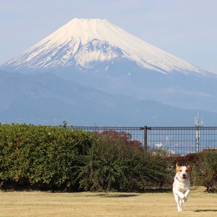 A11cfa35 04e7 414e 99e5 ff4ccd73c5ff