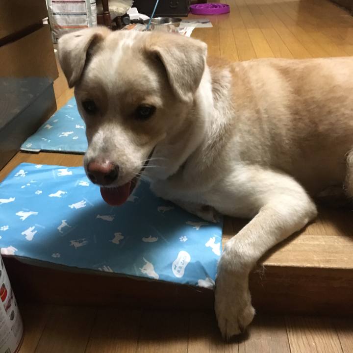 A11d443f dd92 44ae 85e2 402b3966637b