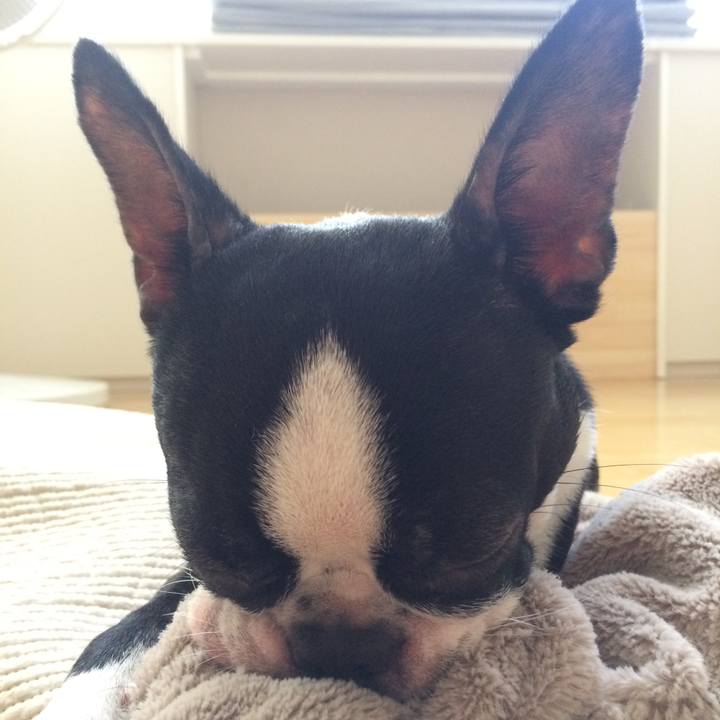 A11d6e07 1777 4f10 abeb 63a9dcffb395