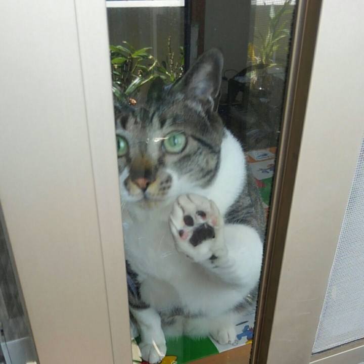 A11d9a75 2d3b 4b6c 86a2 637bc0e3c9b0