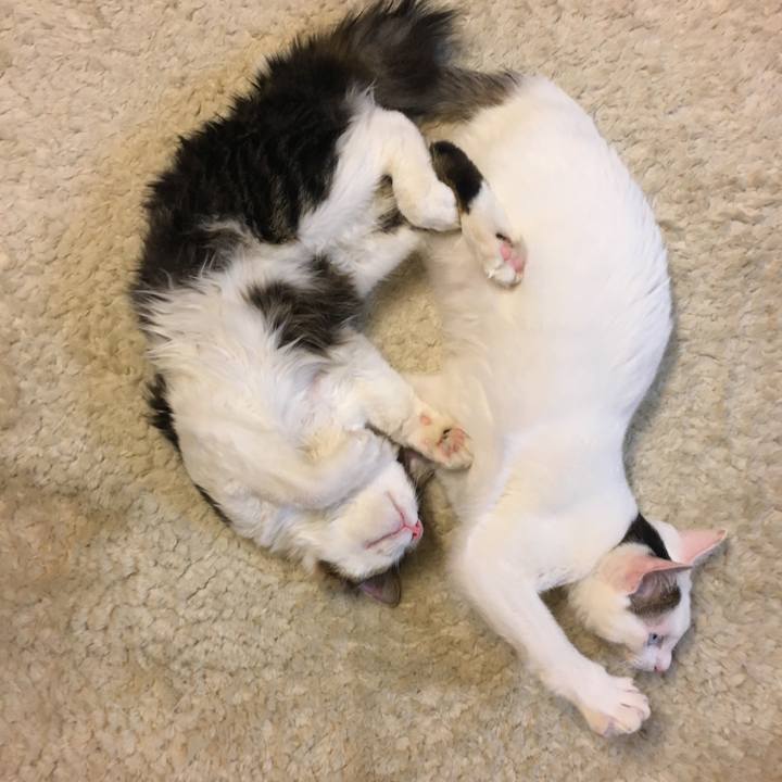 A11e102b 59a9 4f6f 96a2 049d69be46fb