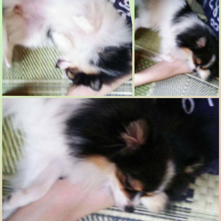 A11e3d6f 6f54 4ba1 a762 60497e813a89