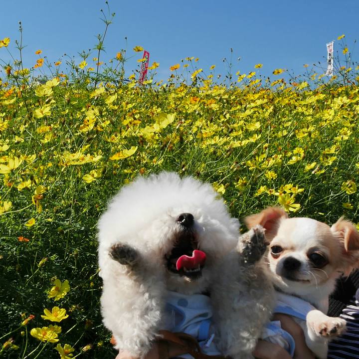 A11e81d9 34b3 48d2 b78b cafc4e9d7c0c