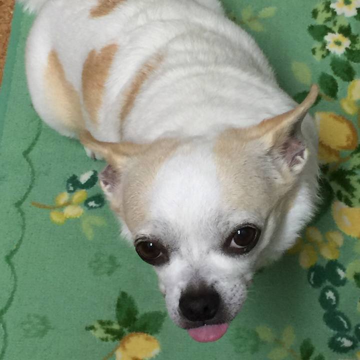 A11ec5fb 94df 4f72 84c8 a14e6cfe6eb7