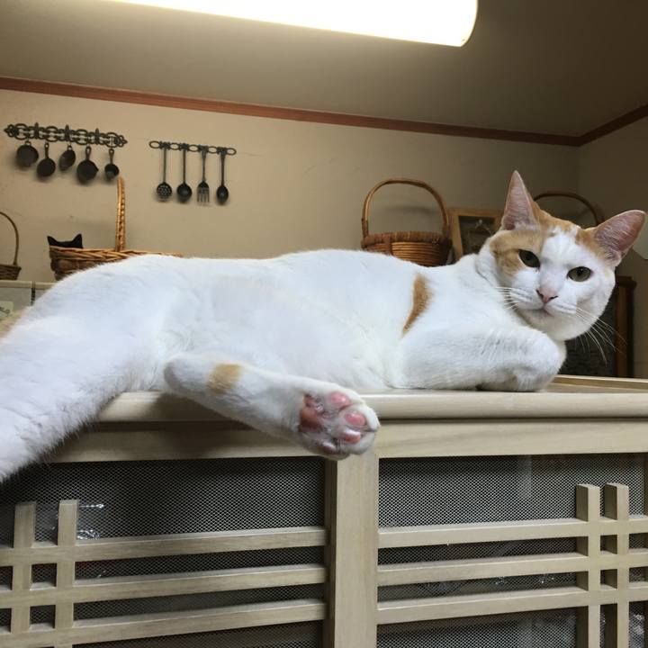 A11ed32c 3b82 4309 84d0 ac46d765ade8