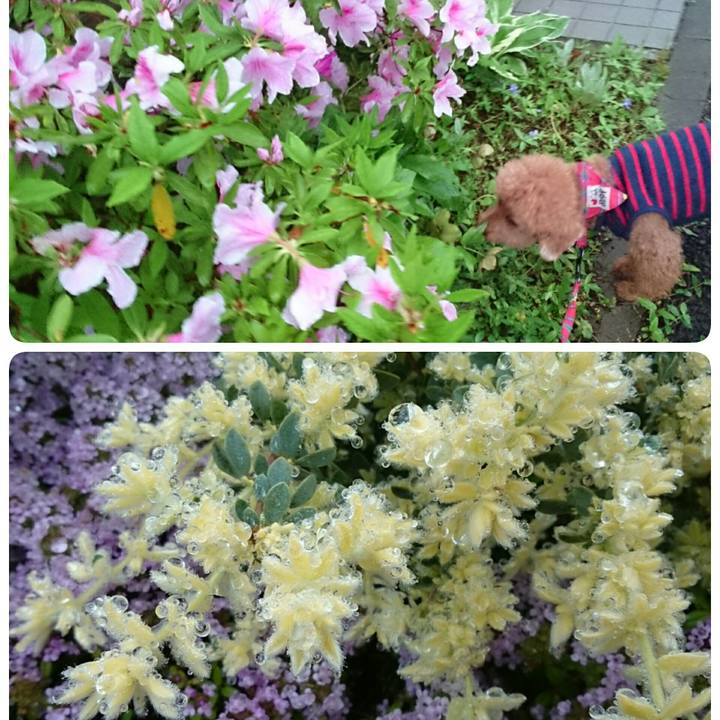 A11f2fcd ea7d 4006 af05 6fe53e71f361