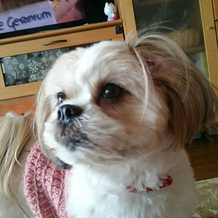 A11f567d bd9f 4947 9959 82aac8850592