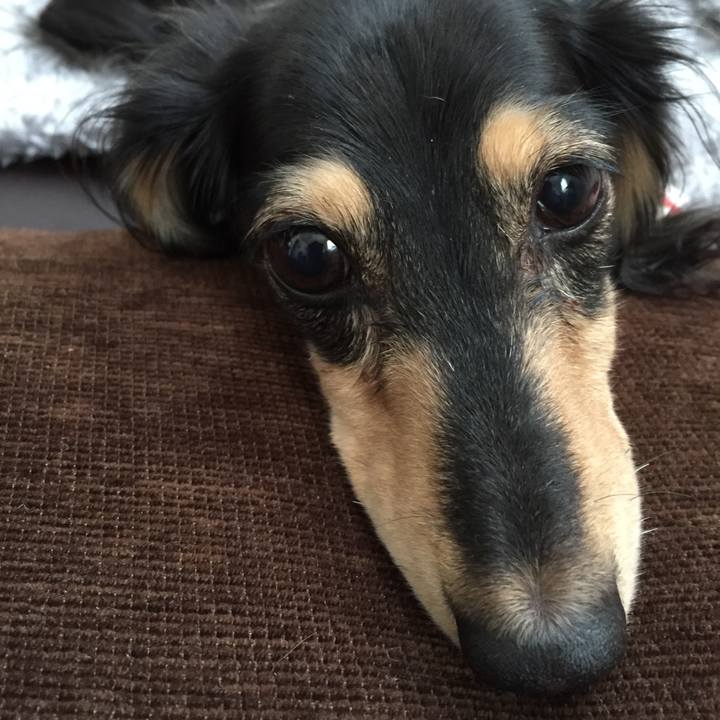 A11fe187 55da 42a0 99a3 b6e6afdca95e