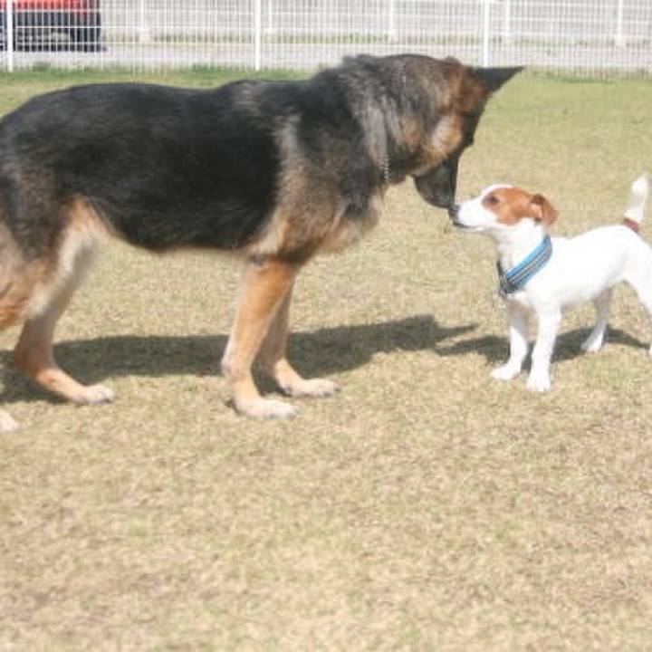 A11fe551 058f 4736 b644 178455957423