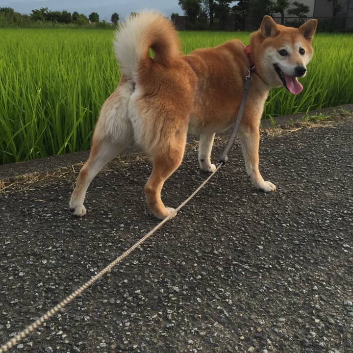 A12052a7 e886 4ca5 b09f 757172573bd0