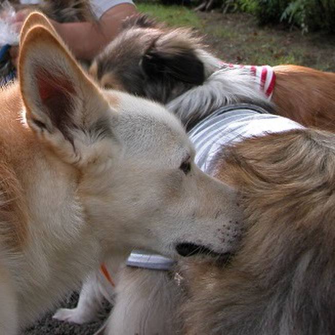 A120684f d6f5 4f00 8a32 c5f04ecef994