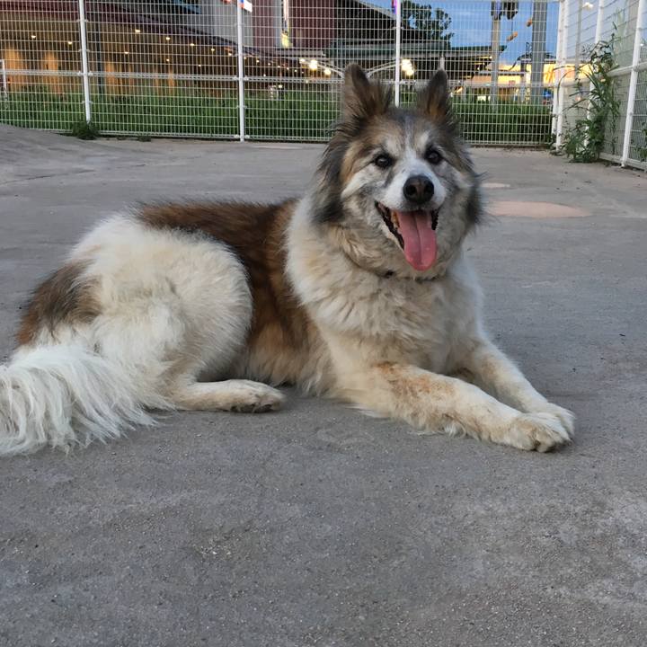 A120fe95 64ac 441c 9d06 41acae4b1c91