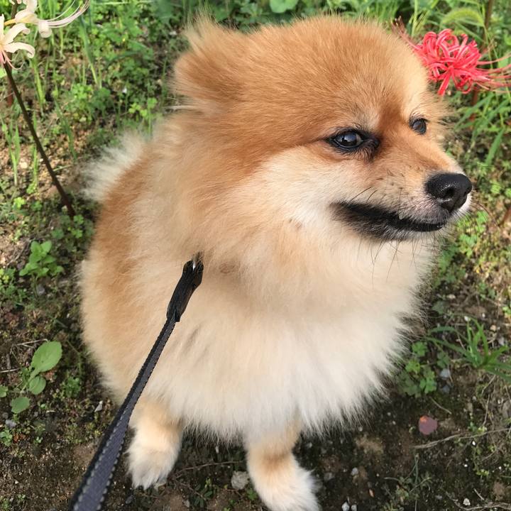 A1210192 3d3a 45c6 9305 c899395d9c56