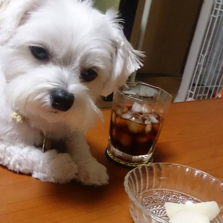 A1210610 9398 4afe bbc3 2e5b05588680