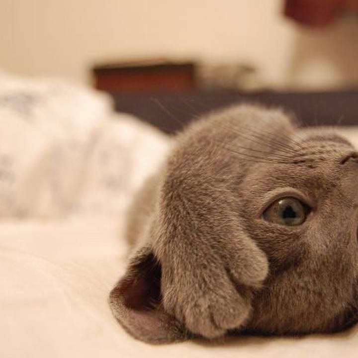 A1240b23 a85d 4488 8470 b46ddbbf6076