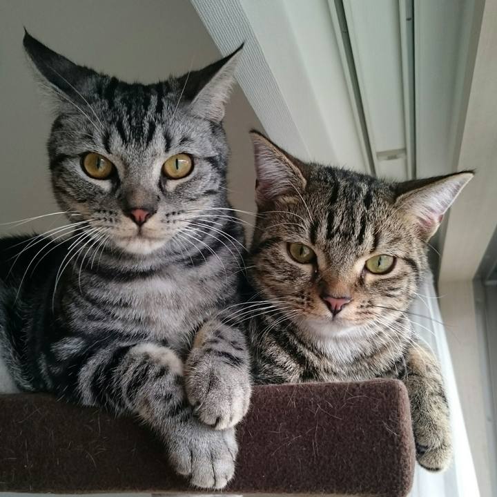 A12472f2 312f 445b 82ab 5e0f1a813796