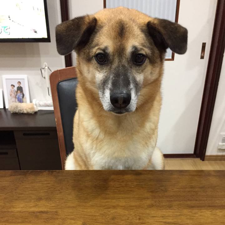 A1248eac 6740 48eb 8f91 01a2e0671be0