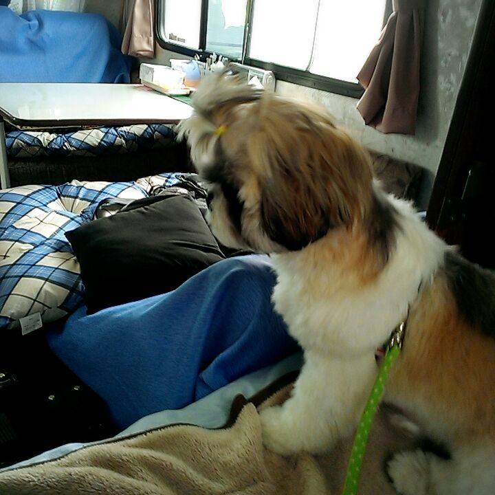 A124d273 70e3 4c26 a664 f27a3fc98a98