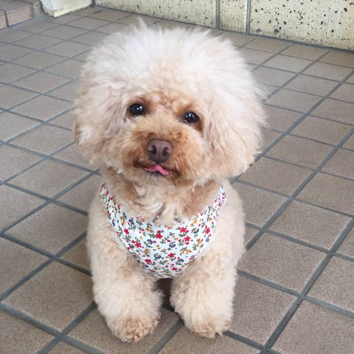 A124e86d 9124 41eb 90c5 44593223fc71