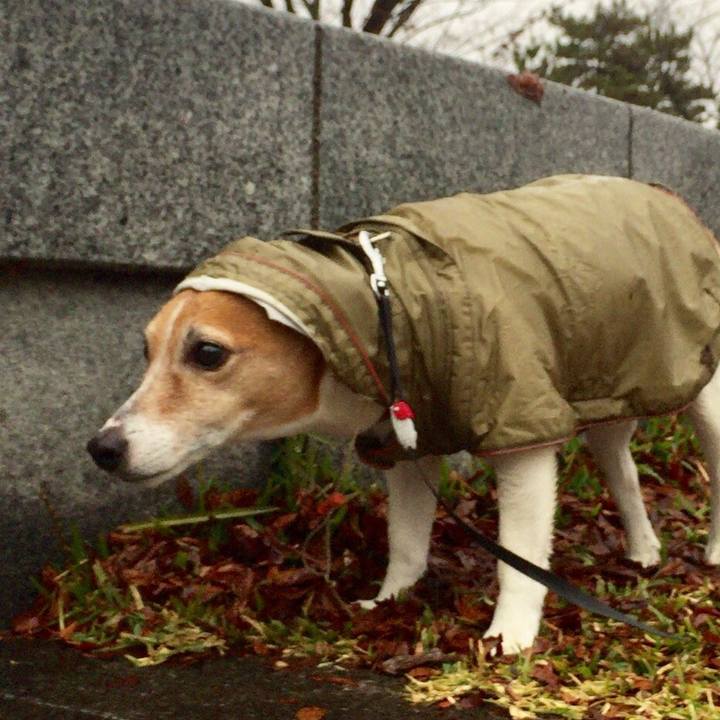 A124fbf8 d479 4613 923f a3484ab83e57