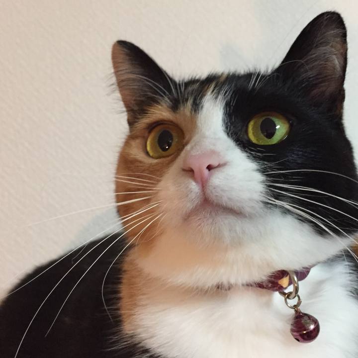 A1256117 9f03 4d53 a0ae f4ed37650e32