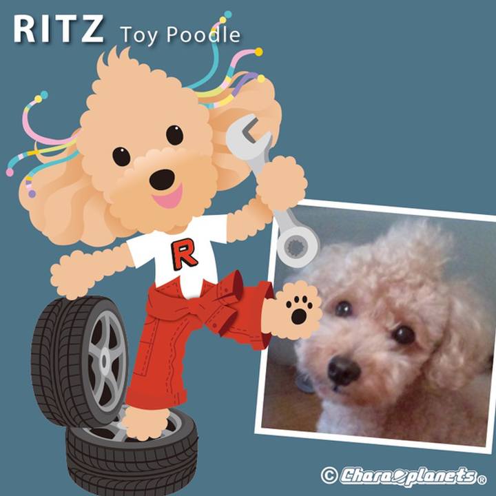 A1264b0d ec95 4a2e ac8c 124c5eb3aae0