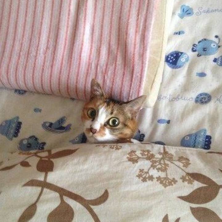 A126e648 966f 4d40 800f d387f5ecf8ac