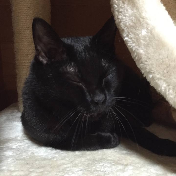 A1288b4c 27e0 429d a7d4 8bebaaded0e1