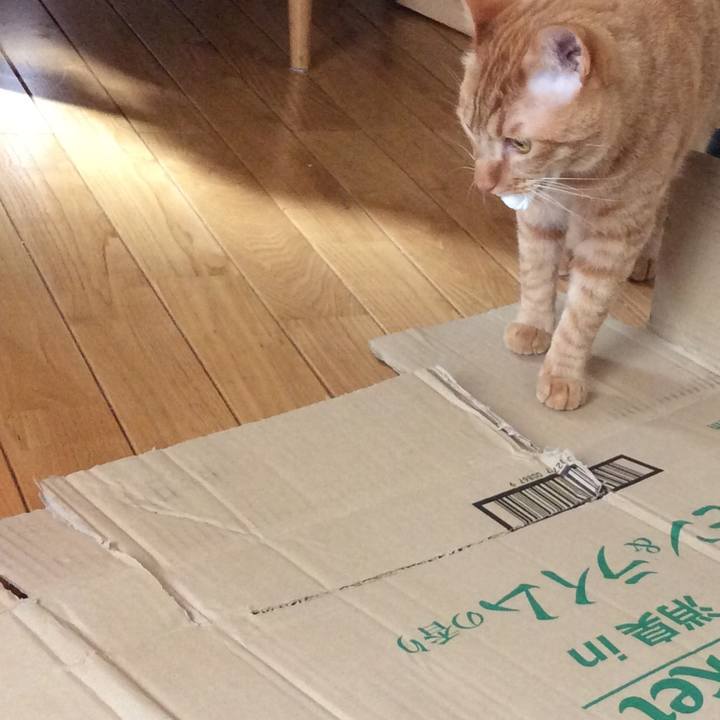 A1299305 5072 43b9 9635 5fe681bfc37d