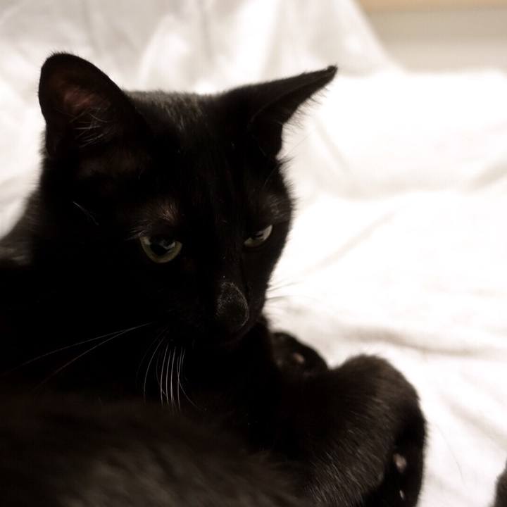 A129c2f1 71d4 42e2 a538 24d6a466a473