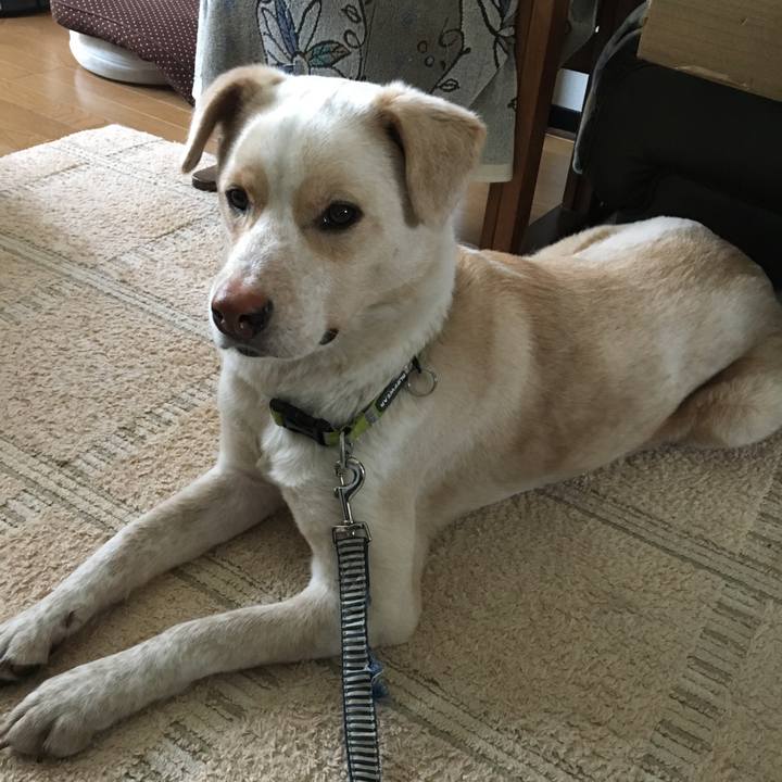 A12a08f3 3ce8 4315 871f 625a50373a30