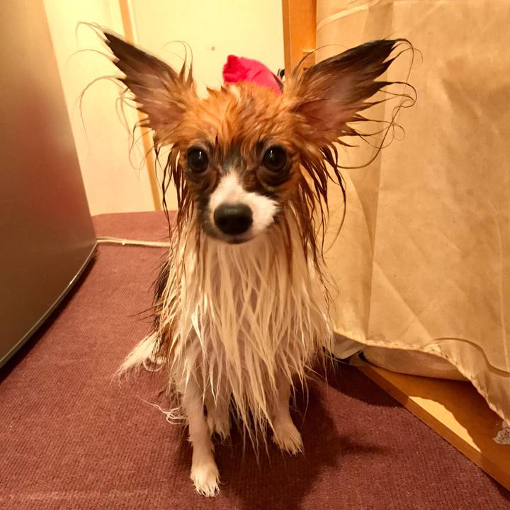 A12a4304 d19d 4ecc bf76 4c3536e838ea