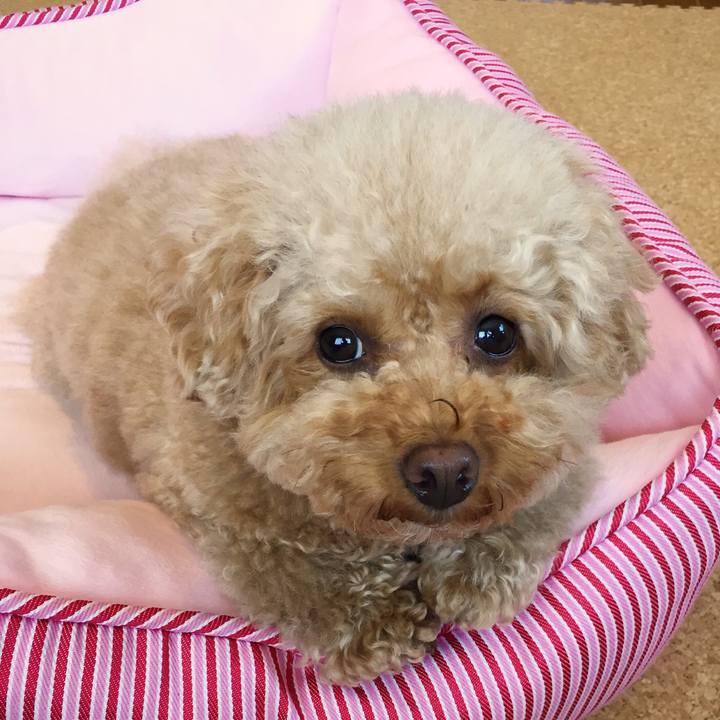 A12a6b73 6218 45dc 95c6 b0612017ddb9