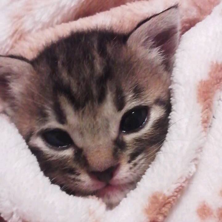 A12b47ed a827 4ead b499 c5bbbeb6d519