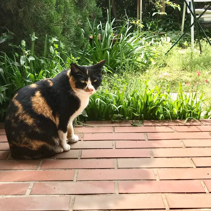 A12b8a28 f138 4660 90f6 0a657f64520e