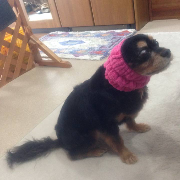 A12bad07 3b72 4fa6 950f 2caf044e4ad5