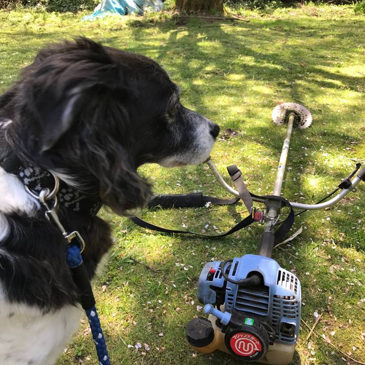 A12bbcc8 ba85 4baf 888f c2f8f99b902c