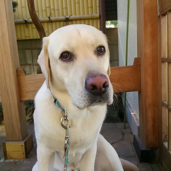 A12c1180 547d 4885 b27c d3ef19014fd5