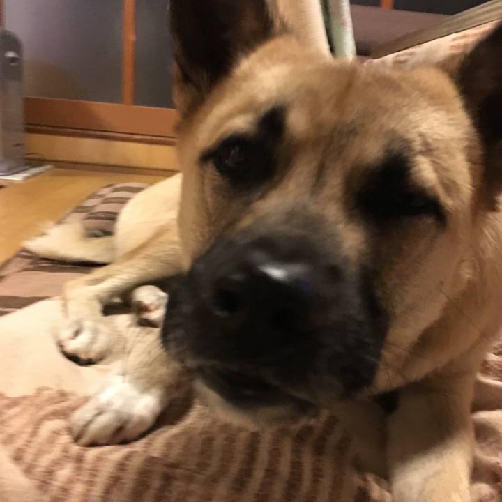 A12d337f f493 44b1 b7ac 8f70eb46030d