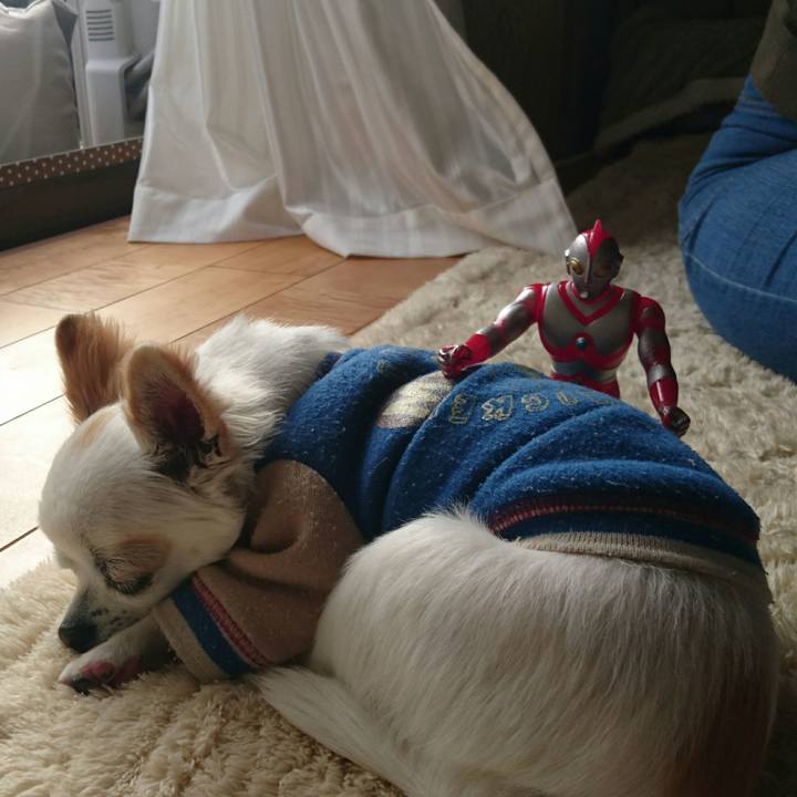 A12d3666 d9b0 41c1 9cf4 7f6c84c3e93b