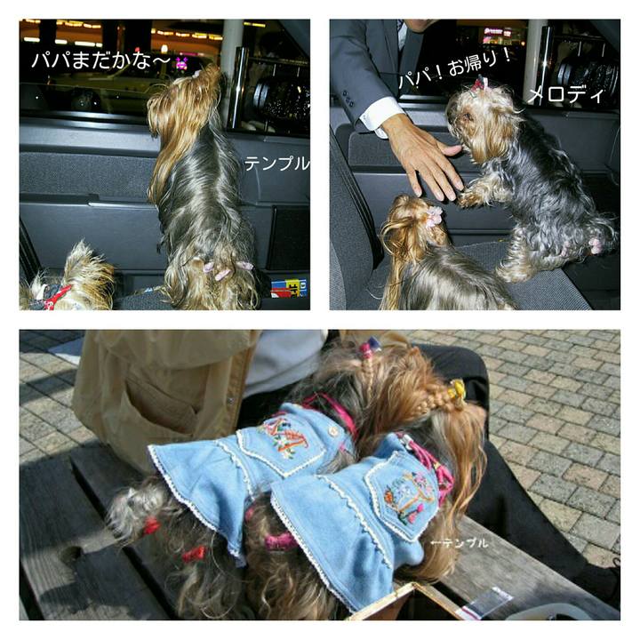 A12e6d5e b8c5 4c3a a00a 89483357f316