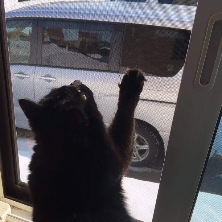 A12e7514 7cc6 4501 bb17 ebe90ca3ec39