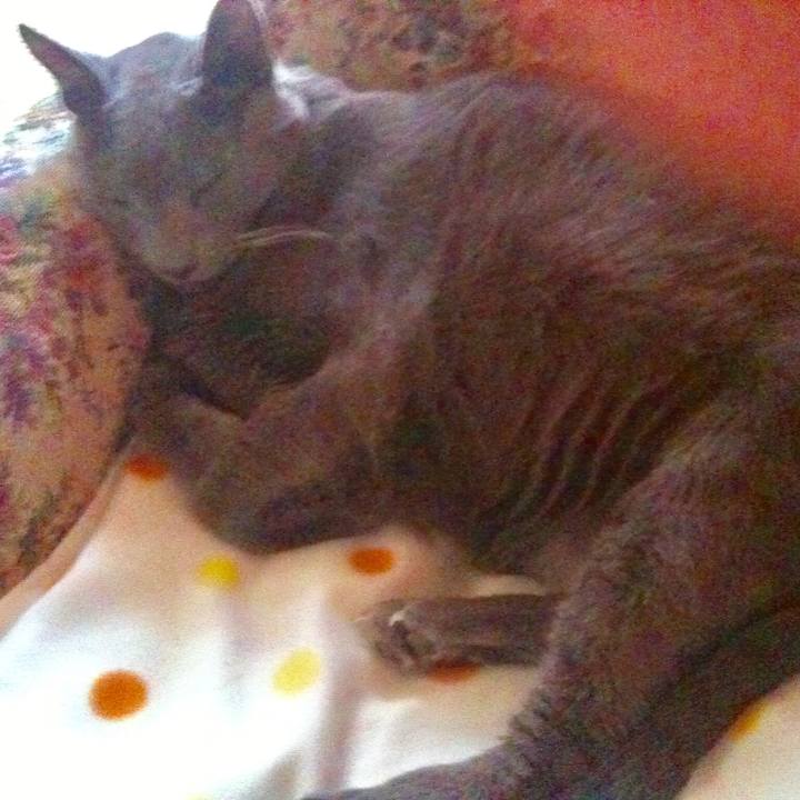 A12e8be4 eba4 4d05 ad0f 34614144cebe