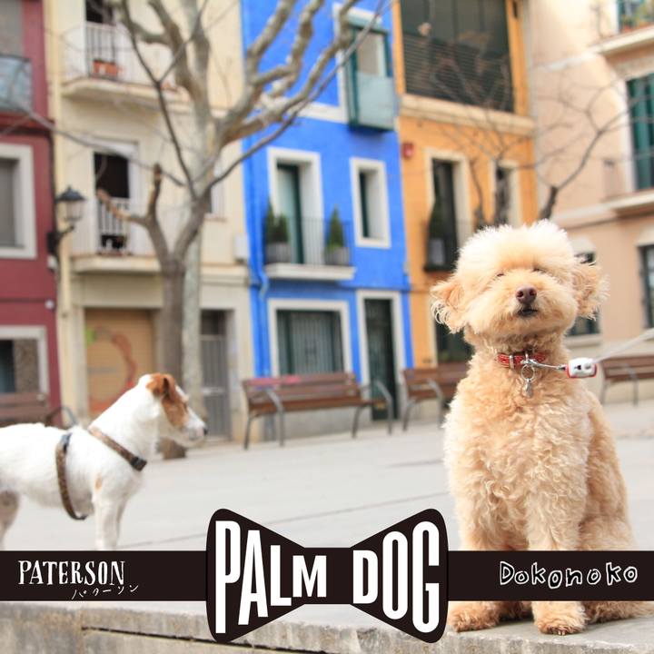 A12ef7d5 0825 4a46 a37a 602d5fafaee5