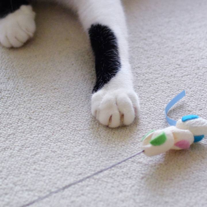 A12f0e0e 4e73 4305 9772 ccdec41ed35a