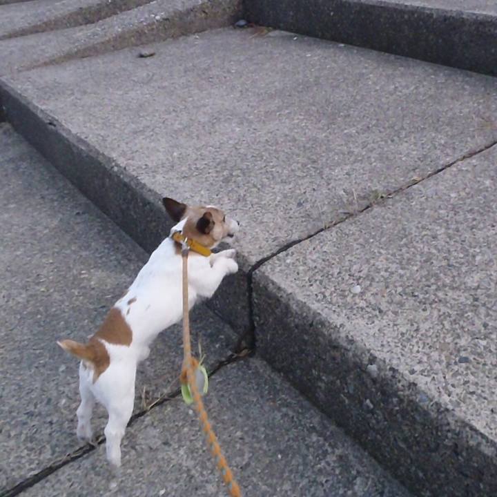 A12f1d2a 15f7 455e b48a a998d276293d