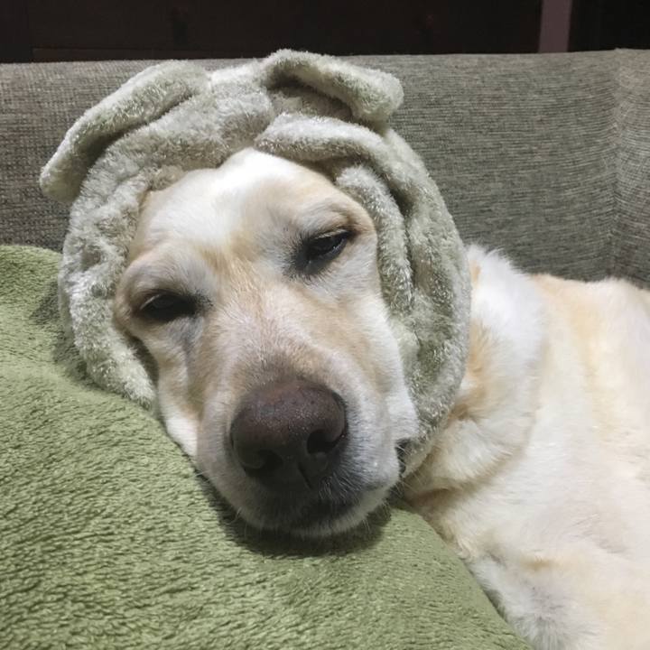 A12f3fab 936a 4139 94e2 9806a54631b0