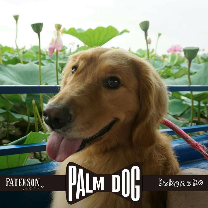 A12fd318 5a6d 491b 911d 9f7df5342aa1