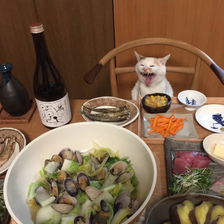 A12fd355 3d2d 46e2 bc4b 86040a6c3cc2